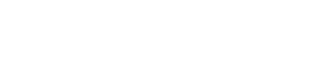 Your City. Your REVL.